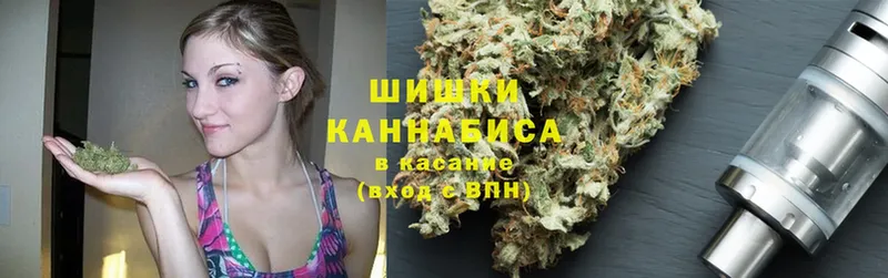 Марихуана Amnesia  купить закладку  Горно-Алтайск 